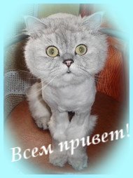 Светаслава